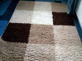 Freecycle Free rectangular rug