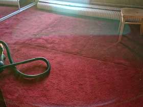 Freecycle Dark Red Carpet