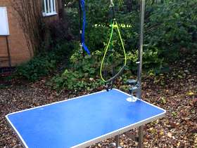 Freecycle Dog Grooming table