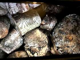 Freecycle Logs