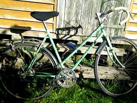 Freecycle Ladies Retro Cascade bicycle