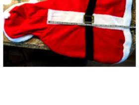 Freecycle Doggie Santa Suit - size large & brand new
