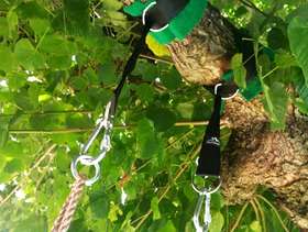 Freecycle Free Tree Swing Straps Hanging Kit