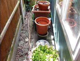 Freecycle Lots of Pots
