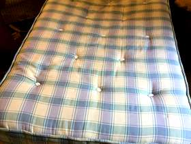 Freecycle Single bed