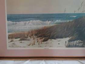 Freecycle Pictures