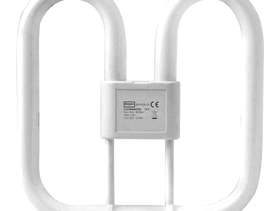 Freecycle 28W Compact Fluorescent Bulb