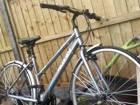 Freecycle Ladies bike