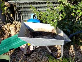 Freecycle Wheelbarrow