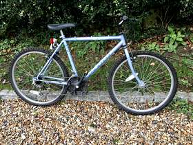Freecycle Ladies' bike