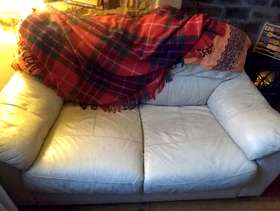 Freecycle Free battered cream leather sofa