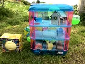 Freecycle Hamster cage & exercise ball