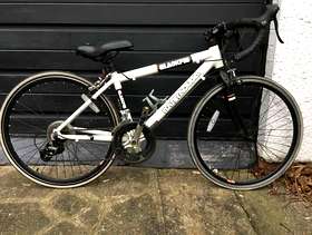 Freecycle Small racing bike