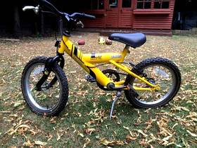 Freecycle Raleigh child's bike