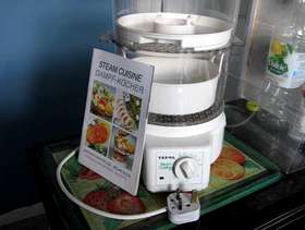Freecycle Tefal Steamer