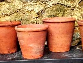 Freecycle 6 similar size vintage terracotta plant pots
