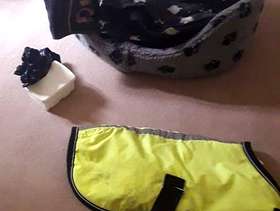 Freecycle 19" /48cm dog coat & accessories