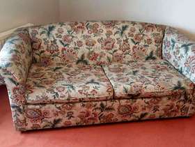 Freecycle Sofa bed