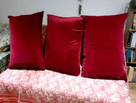 Freecycle Three large cushions