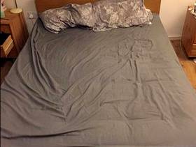 Freecycle Wooden Double bed frame