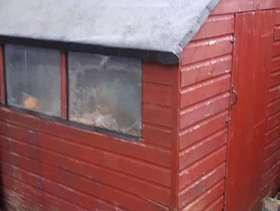 Freecycle Garden shed