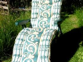Freecycle SUN LOUNGERS - 2 brand new padded reclining sun loungers