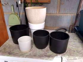 Freecycle Plant pots