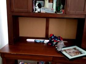 Freecycle Entertanment center and dest