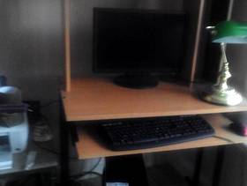 Freecycle Computer desk