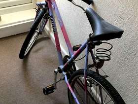 Freecycle Raleigh bike