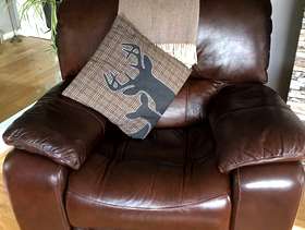 Freecycle Brown leather reclining rocking chair