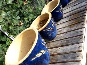 Freecycle Miscellaneous ceramic pots.