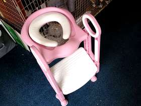 Freecycle Toilet seat and step for training.