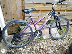 Freecycle Raleigh Vixen ladies bike