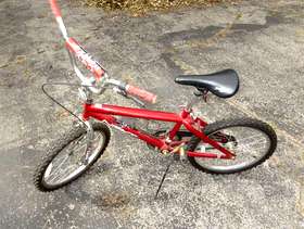 Freecycle 20" Next Boys' BMX Bicycle