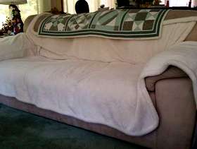 Freecycle Sleeper Sofa