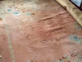 Freecycle A very large rug