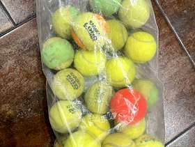Freecycle Old tennis balls