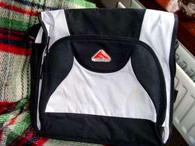 Freecycle Shoulder bag and DILBERT books