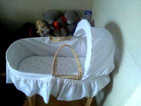 Freecycle Moseys basket
