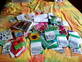Freecycle Seeds
