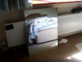Freecycle 2 mirrors