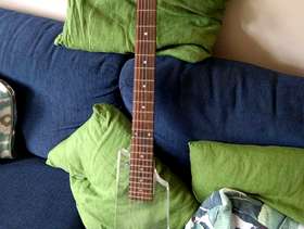 Freecycle Transparent guitar
