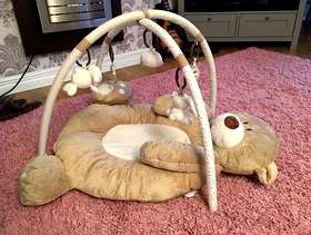 Freecycle Tatty Ted baby floor gym ,