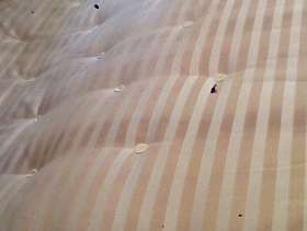 Freecycle King-size mattress