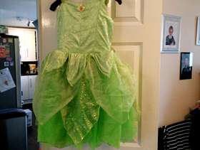 Freecycle Disney dress princess dress up outfits.