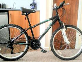Freecycle Bicycle in good working order £25