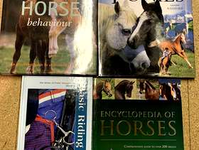 Freecycle Bundle of horse books - excellent condition