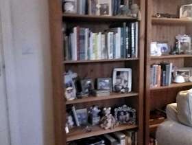 Freecycle Bookcase
