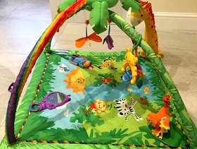 Freecycle Fisher Price Rainforest Melodies & LightDeluxe gym